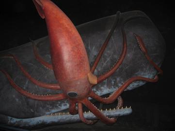 The Kraken: Origins of the Great Monster of the Sea – Gage Beasley